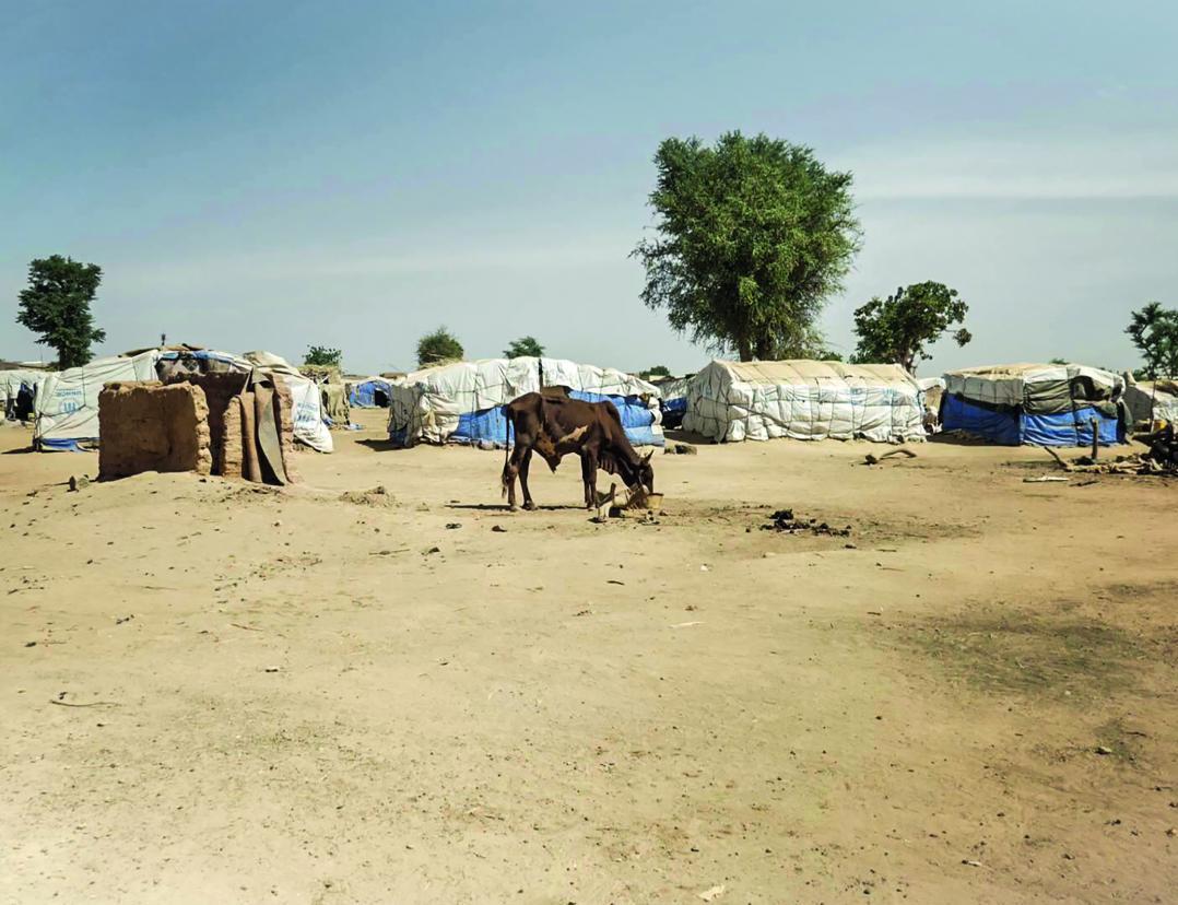 AVC Burkina Faso Camp