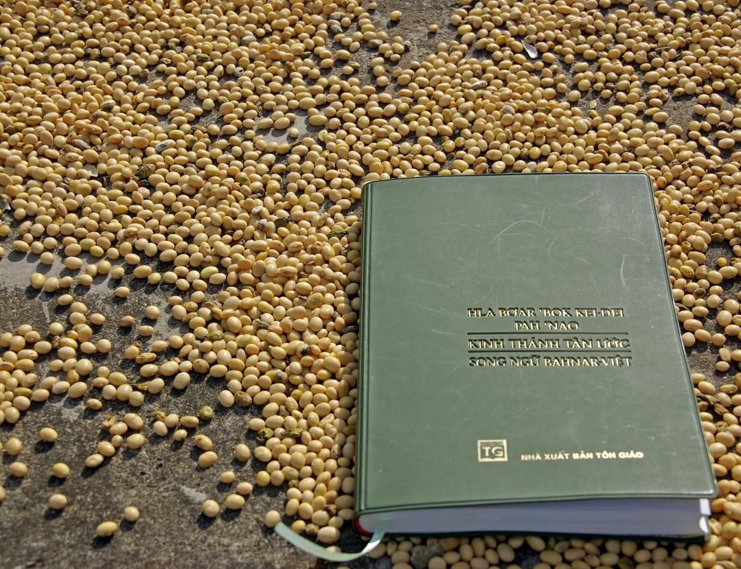 AVC Vietnam Bild Bibel