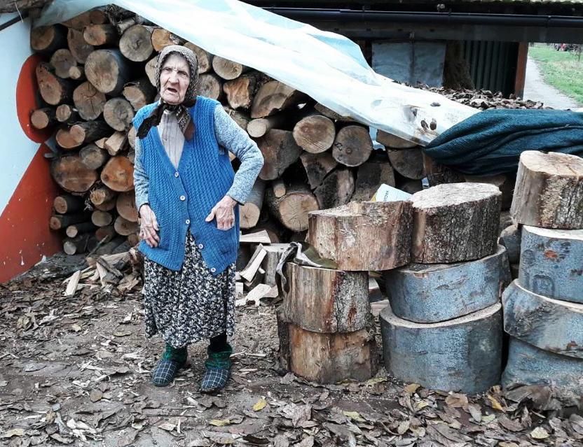 AVC Bosnien Holz